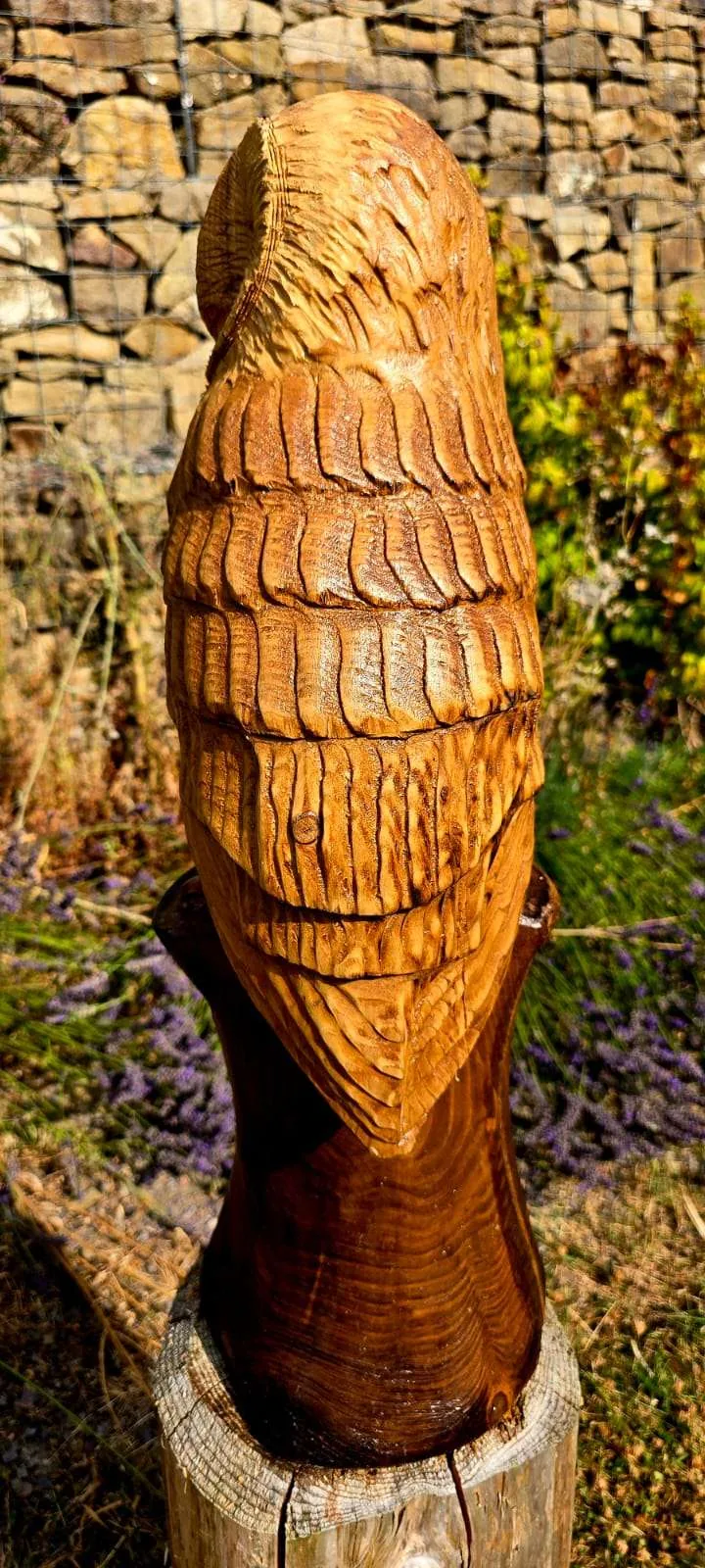 Twix the Barn Owl hand carved owl