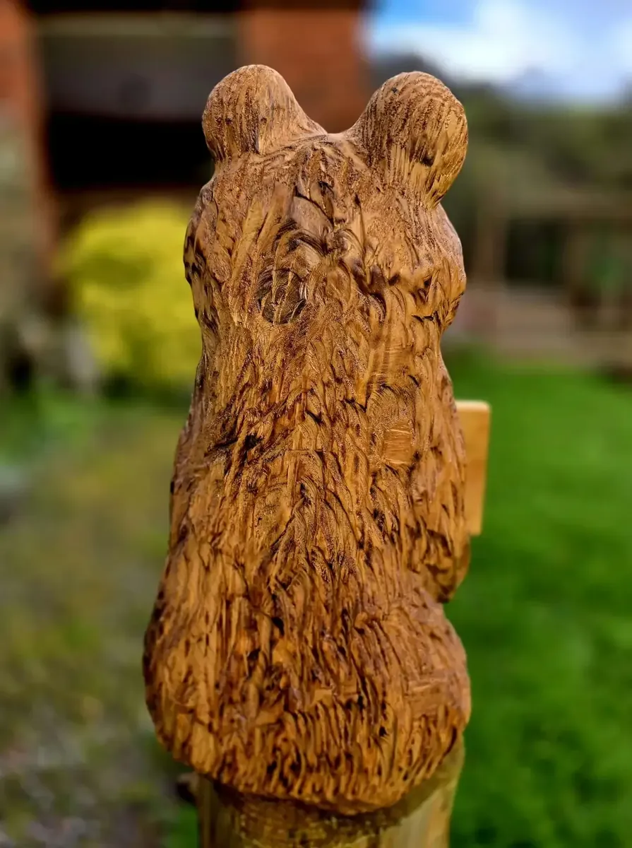 William the Welcome Bear view 3