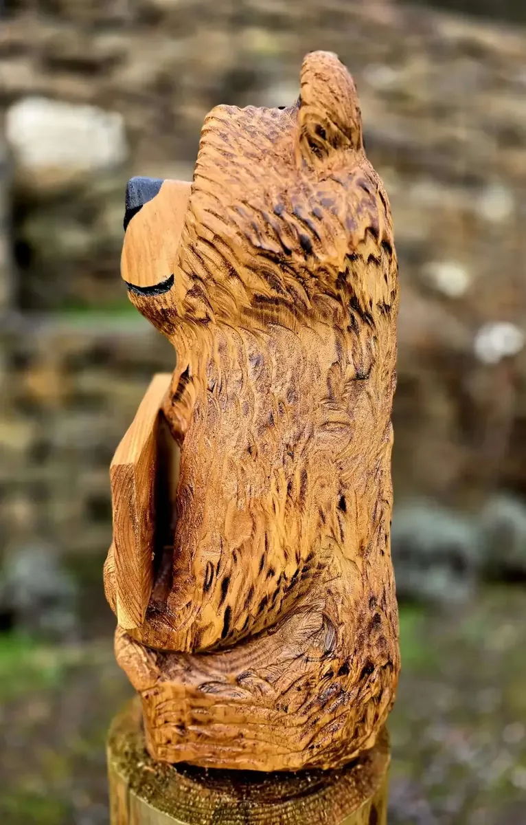 William the Welcome Bear view 4