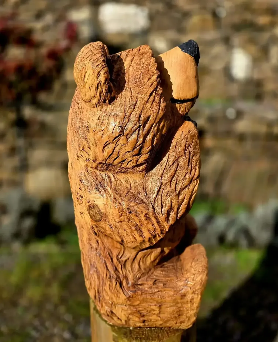 Winslow the Bear hand carved bear