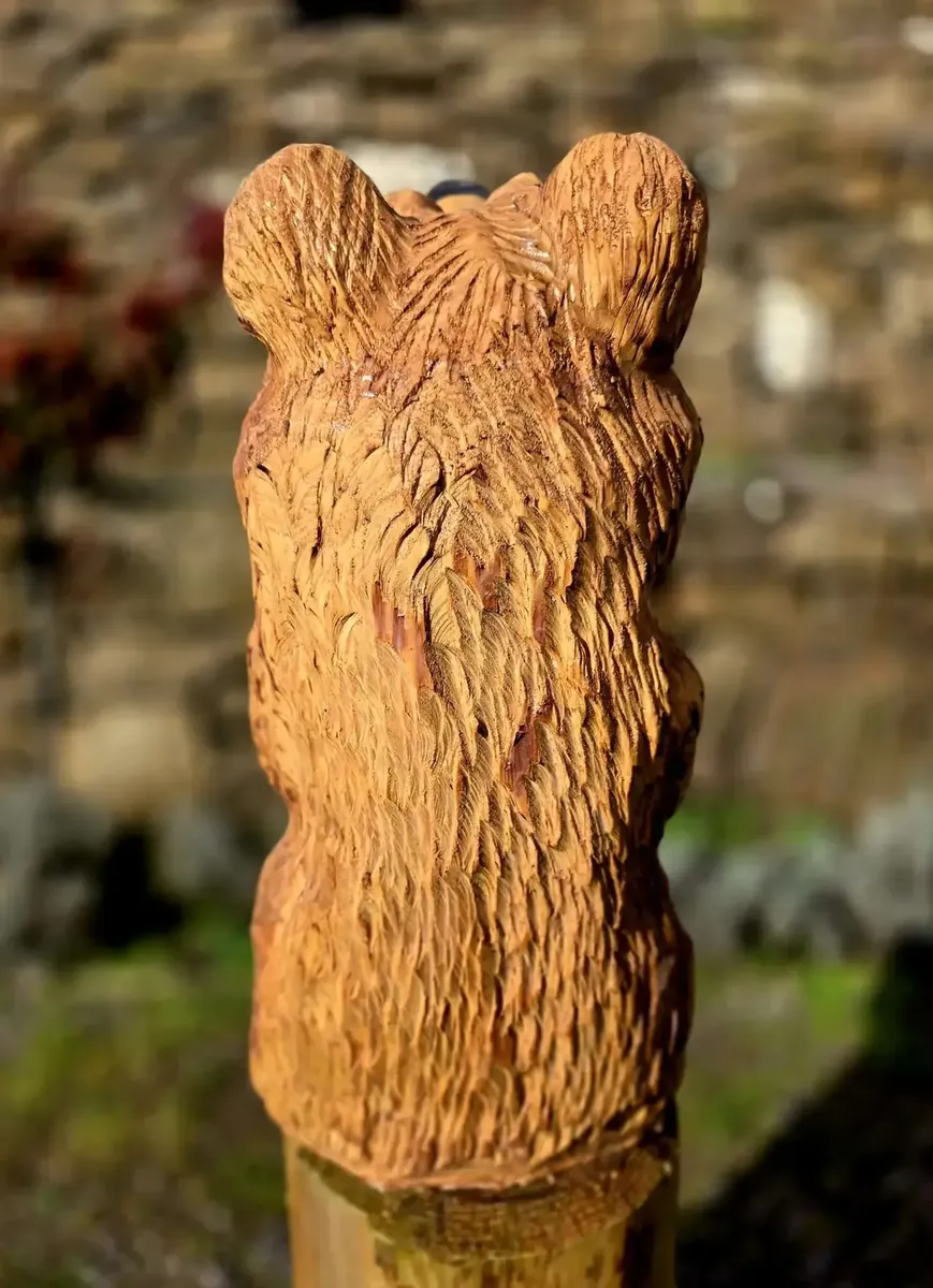 Winslow the Bear view 3