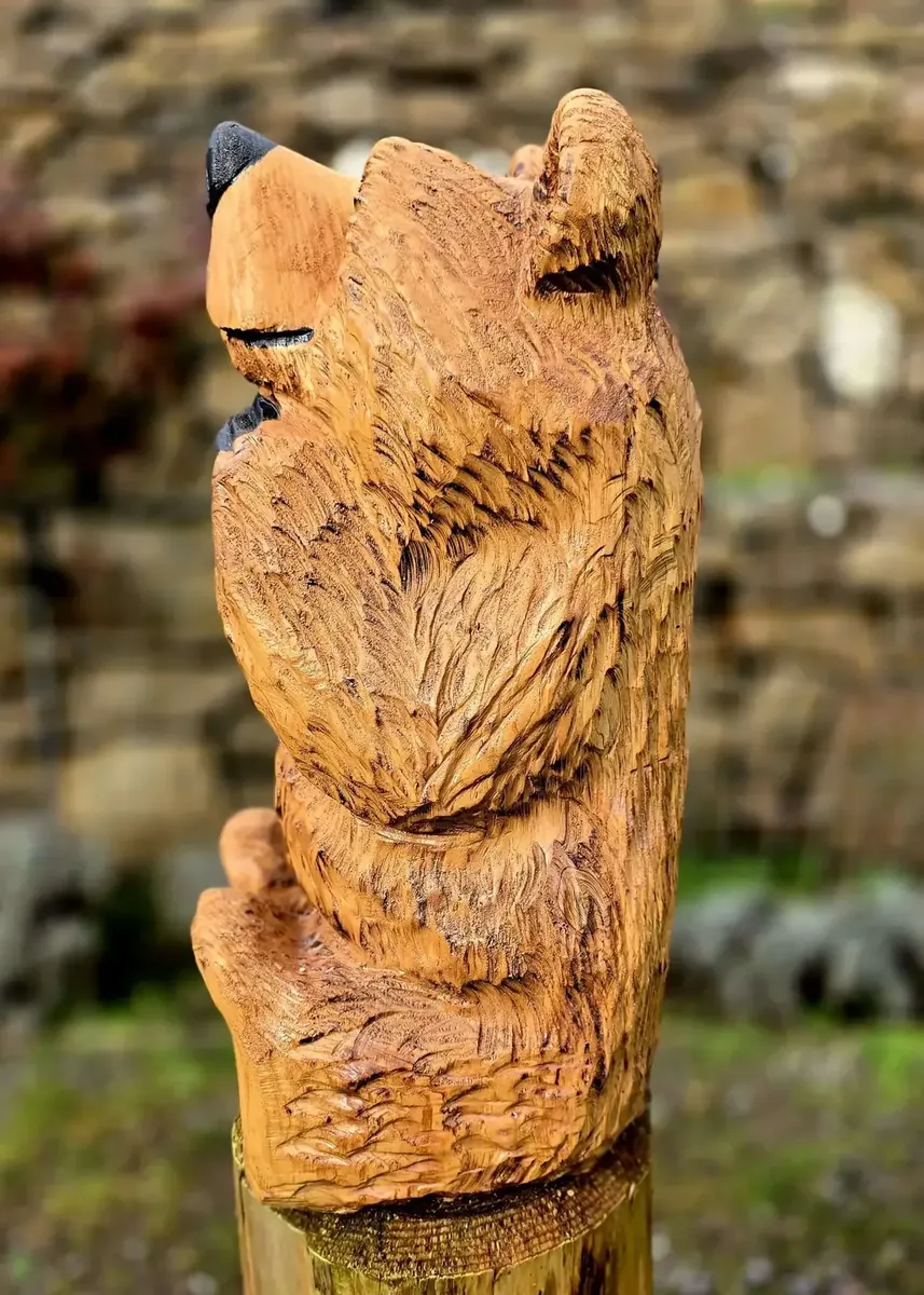 Winslow the Bear view 4